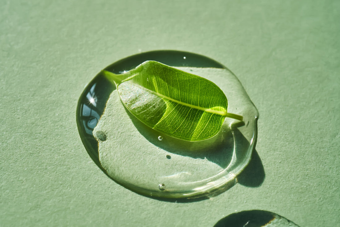 Les bienfaits de la Niacinamide : un actif multifonction incontournable pour une peau saine et éclatante