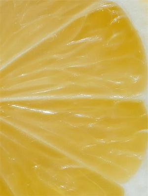 Illustration d’agrumes représentant la vitamine C naturelle – Sérum Vitamine C The North DNA, éclat et protection antioxydante