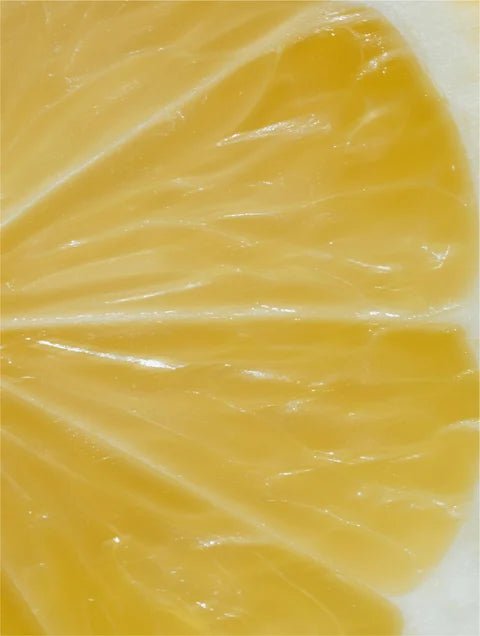 Illustration d’agrumes représentant la vitamine C naturelle – Sérum Vitamine C The North DNA, éclat et protection antioxydante