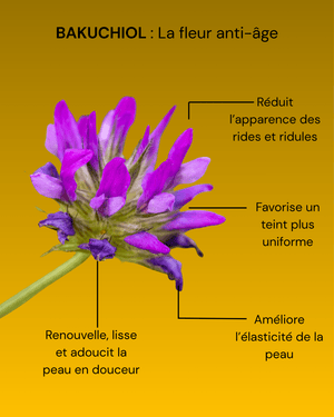 Sérum-Huile Anti-âge au Bakuchiol (Alternative Naturelle au Rétinol)-30ml