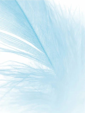 Illustration plume bleue symbolisant la douceur et l’hydratation légère de la crème hydratante peaux sensibles The North DNA, soin apaisant à l’acide hyaluronique