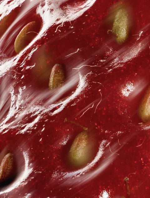 Strawberry seed oil – natural antioxidant and nourishing ingredient in The North DNA Peptide Serum